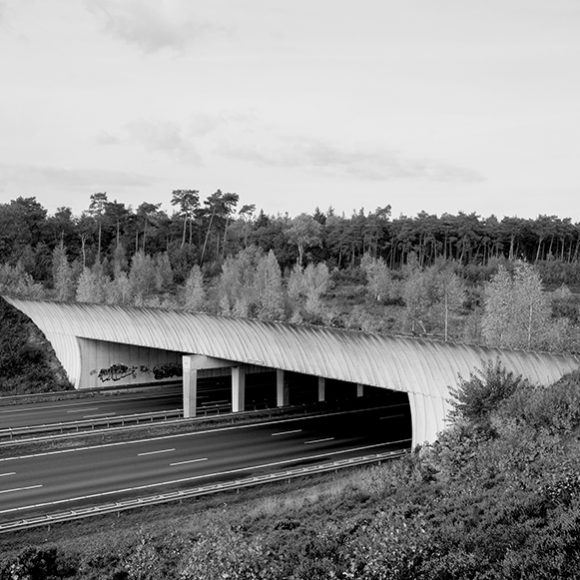 Mostre fotografiche fuori Triveneto – settembre 2024